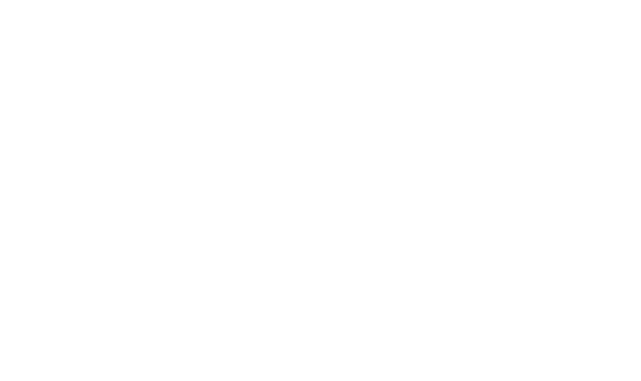 Cosmo Gate II